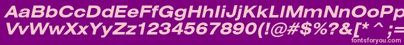 HeliosextBoldItalic Font – Pink Fonts on Purple Background