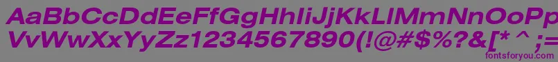 HeliosextBoldItalic-Schriftart – Violette Schriften auf grauem Hintergrund