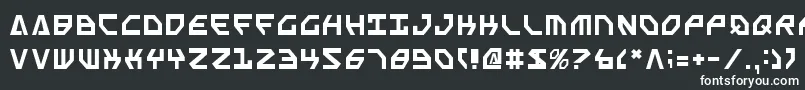 フォントScarabScript – 白い文字