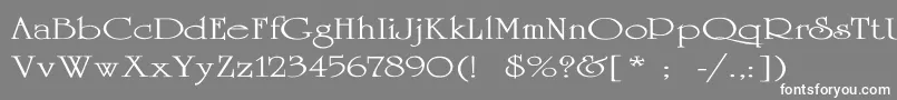 UniversityThinEx Font – White Fonts on Gray Background