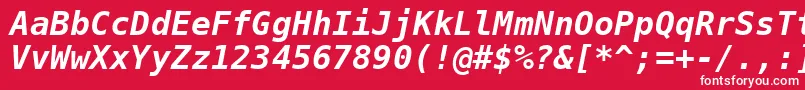 フォントDejavuSansMonoBoldOblique – 赤い背景に白い文字