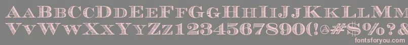 Currency Font – Pink Fonts on Gray Background