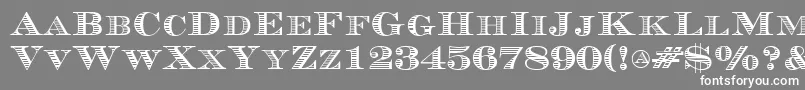 Currency Font – White Fonts on Gray Background