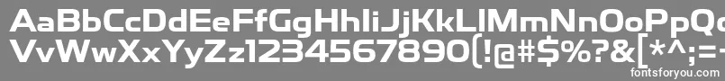 ToxigenesisBd Font – White Fonts on Gray Background