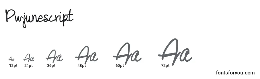 Pwjunescript Font Sizes