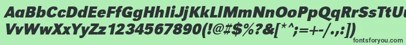 UrwgrotesktnarBoldOblique Font – Black Fonts on Green Background