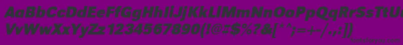 UrwgrotesktnarBoldOblique Font – Black Fonts on Purple Background