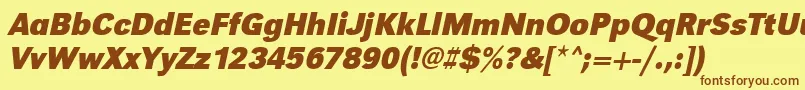 UrwgrotesktnarBoldOblique Font – Brown Fonts on Yellow Background