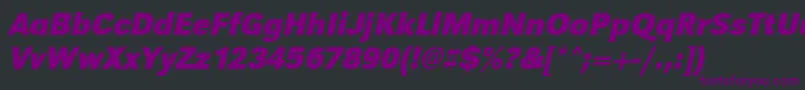 UrwgrotesktnarBoldOblique Font – Purple Fonts on Black Background