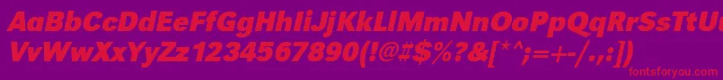 UrwgrotesktnarBoldOblique Font – Red Fonts on Purple Background