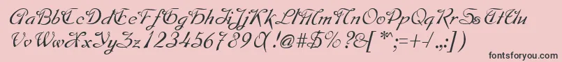 MontagueRegular Font – Black Fonts on Pink Background