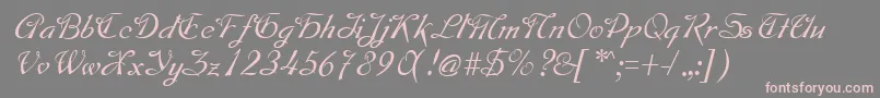 MontagueRegular Font – Pink Fonts on Gray Background