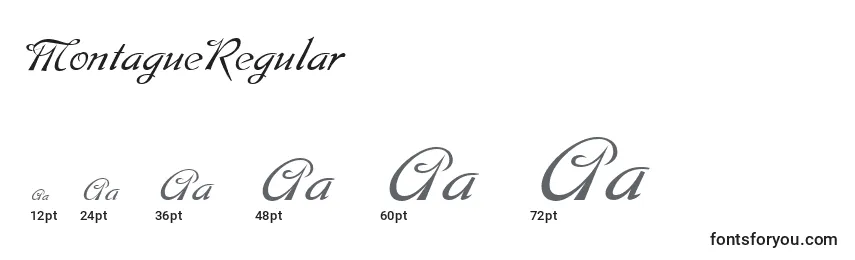 MontagueRegular Font Sizes