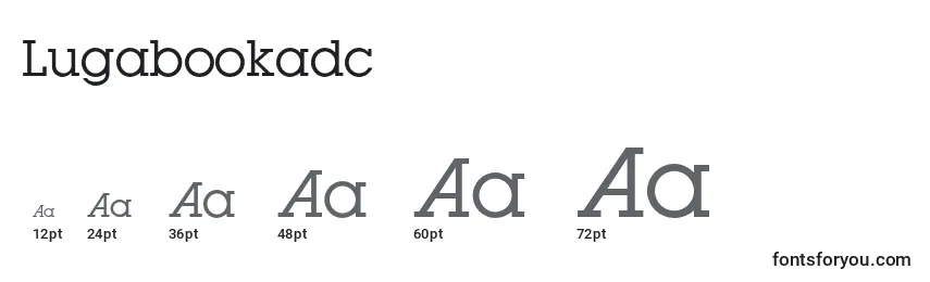 Размеры шрифта Lugabookadc