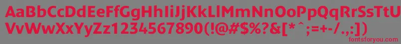 DendanewcBold Font – Red Fonts on Gray Background