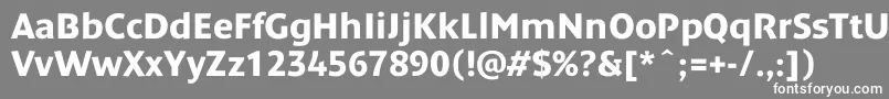 DendanewcBold Font – White Fonts on Gray Background