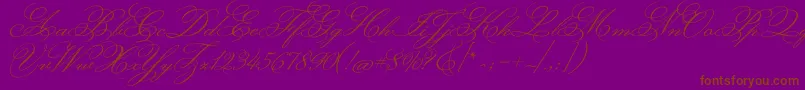 MonsieurladoulaiseRegular Font – Brown Fonts on Purple Background