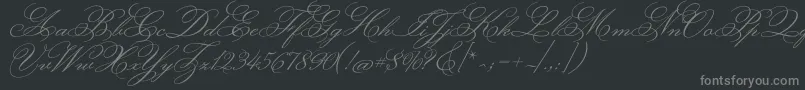 MonsieurladoulaiseRegular Font – Gray Fonts on Black Background