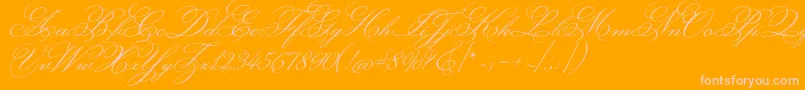 MonsieurladoulaiseRegular-Schriftart – Rosa Schriften auf orangefarbenem Hintergrund