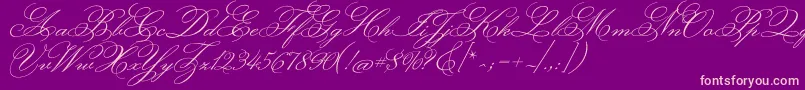 MonsieurladoulaiseRegular Font – Pink Fonts on Purple Background