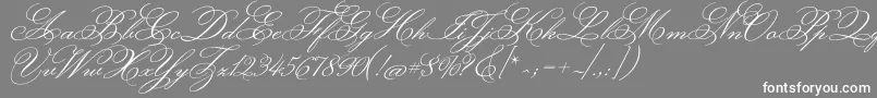 MonsieurladoulaiseRegular-Schriftart – Weiße Schriften auf grauem Hintergrund