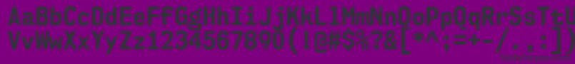 Nk57MonospaceScBd Font – Black Fonts on Purple Background