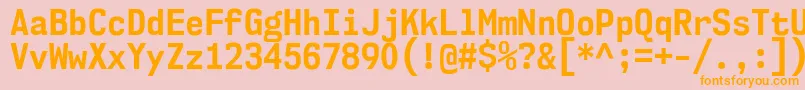 Nk57MonospaceScBd Font – Orange Fonts on Pink Background