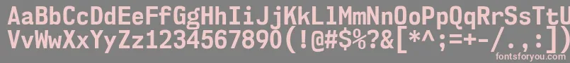 Nk57MonospaceScBd Font – Pink Fonts on Gray Background