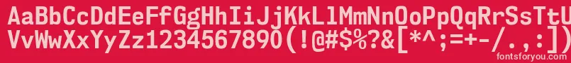 Nk57MonospaceScBd Font – Pink Fonts on Red Background