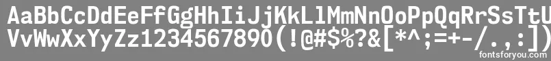 Nk57MonospaceScBd Font – White Fonts on Gray Background