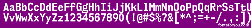 Nk57MonospaceScBd Font – White Fonts on Purple Background