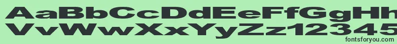 GfViennaHeavy Font – Black Fonts on Green Background