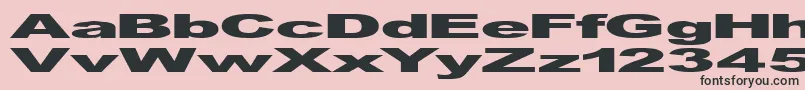 GfViennaHeavy-Schriftart – Schwarze Schriften auf rosa Hintergrund