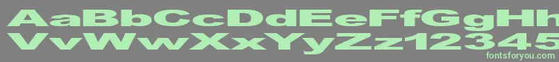 GfViennaHeavy-Schriftart – Grüne Schriften auf grauem Hintergrund