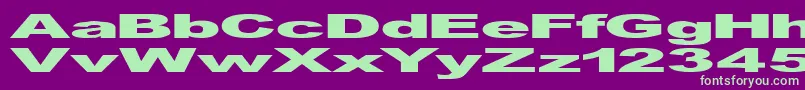 フォントGfViennaHeavy – 紫の背景に緑のフォント