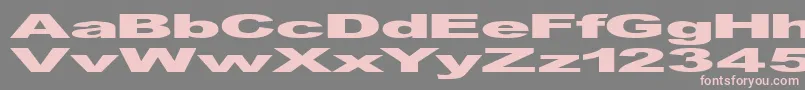 フォントGfViennaHeavy – 灰色の背景にピンクのフォント