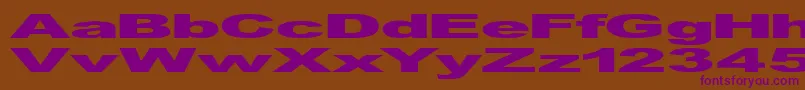 GfViennaHeavy Font – Purple Fonts on Brown Background