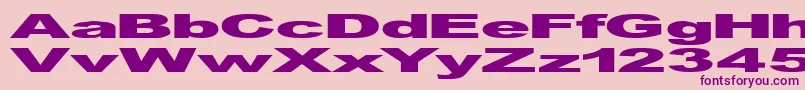 GfViennaHeavy Font – Purple Fonts on Pink Background