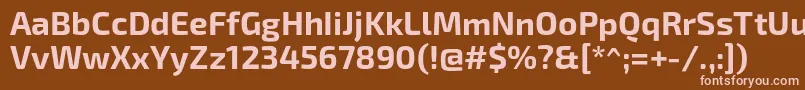 フォントExo2.0Bold – 茶色の背景にピンクのフォント