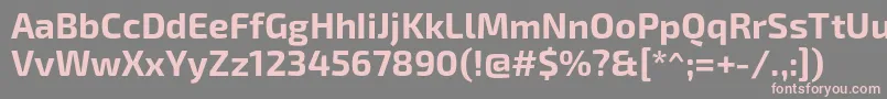 フォントExo2.0Bold – 灰色の背景にピンクのフォント