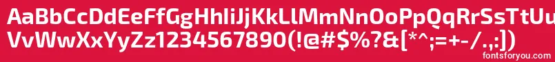フォントExo2.0Bold – 赤い背景に白い文字