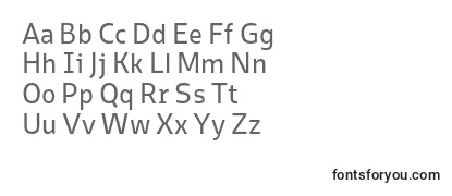 ElsaRegular Font