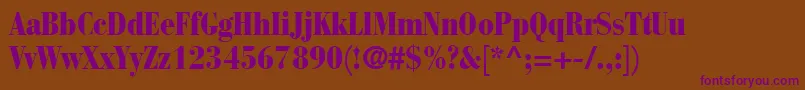 BauerBodoniBlackCondensed Font – Purple Fonts on Brown Background