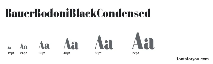BauerBodoniBlackCondensed Font Sizes