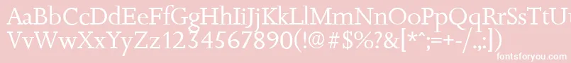 JessicaserialRegular Font – White Fonts on Pink Background