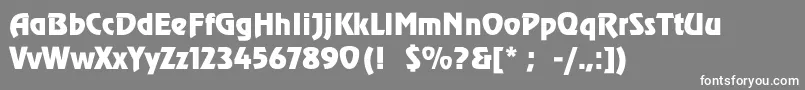 ReneeThin Font – White Fonts on Gray Background