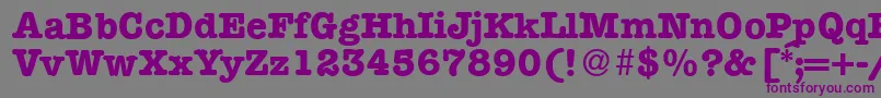 フォントModerntypewriterBold – 紫色のフォント、灰色の背景