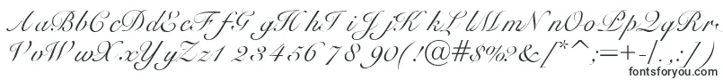 Heilscript-fontti – Kauniilla fonteilla tehdyt kyltit