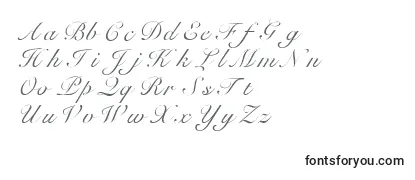 Шрифт Heilscript