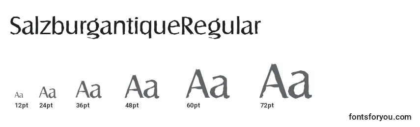 Размеры шрифта SalzburgantiqueRegular